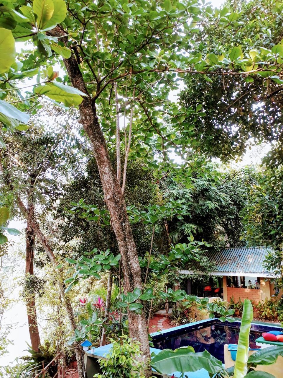 Randoni Villa Raddoluwa Exterior photo